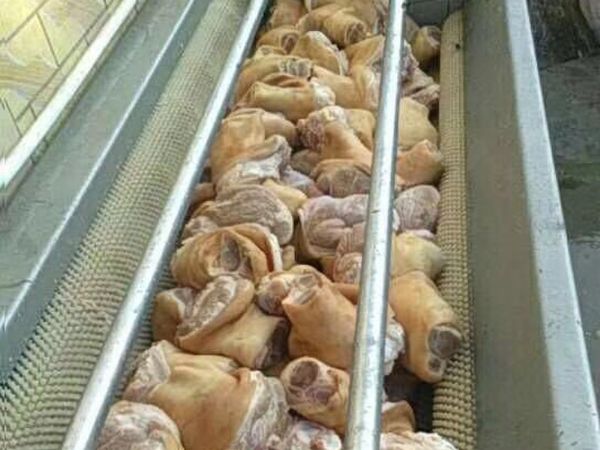 猪肘子PG官方网站-PG(中国)一站式游戏平台效果