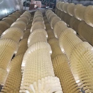 白萝卜PG官方网站-PG(中国)一站式游戏平台机