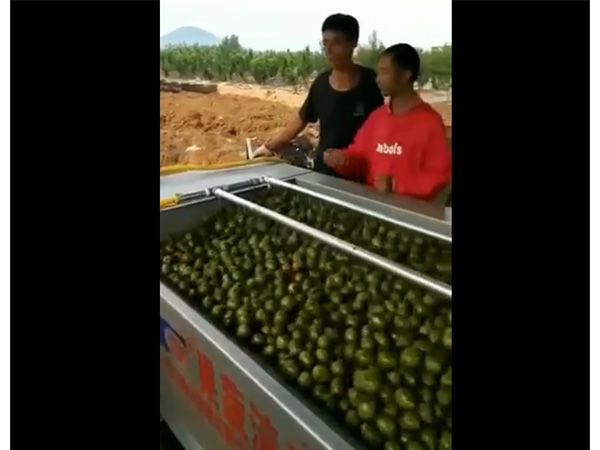 核桃去皮PG官方网站-PG(中国)一站式游戏平台一体机视频