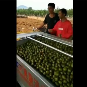 核桃去皮PG官方网站-PG(中国)一站式游戏平台一体机视频