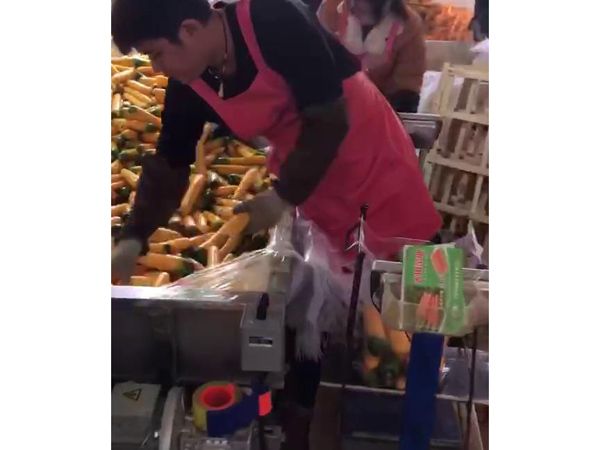 胡萝卜PG官方网站-PG(中国)一站式游戏平台机视频