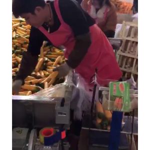 胡萝卜PG官方网站-PG(中国)一站式游戏平台机视频