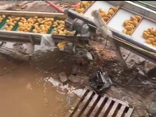 土豆PG官方网站-PG(中国)一站式游戏平台机视频