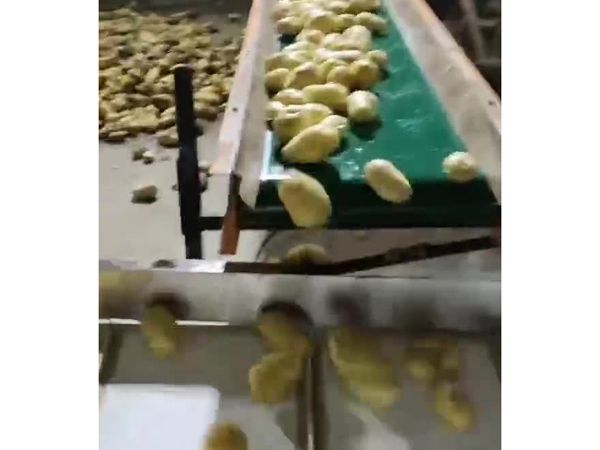 土豆PG官方网站-PG(中国)一站式游戏平台机视频