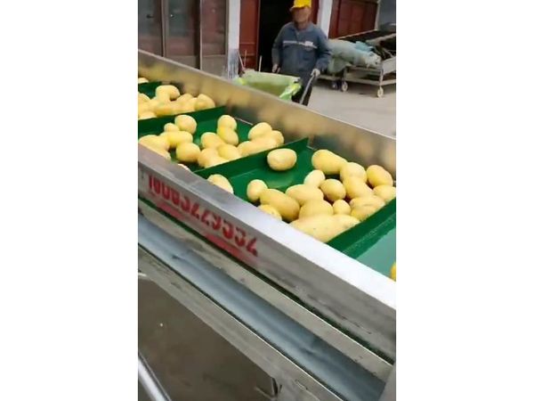 土豆PG官方网站-PG(中国)一站式游戏平台视频
