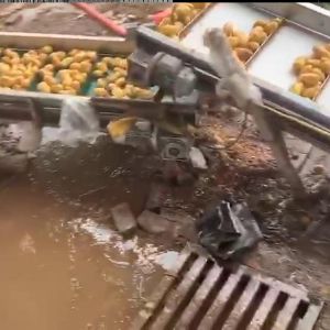 土豆PG官方网站-PG(中国)一站式游戏平台机视频