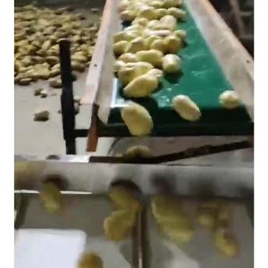 土豆PG官方网站-PG(中国)一站式游戏平台机视频