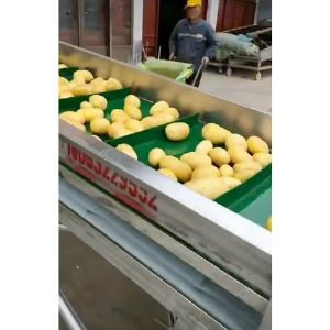 土豆PG官方网站-PG(中国)一站式游戏平台视频